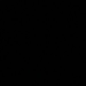 Meet your Posher, Eli